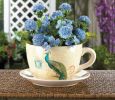 Peacock Dolomite Tea Cup Planter - 4.5 inches