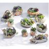Outdoor Indoor Decor Ceramic Flower Container Pots Mini Planters-A01