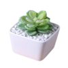 Garden Desk Creative Mini White Ceramic Flower Container Pots Planters-D02
