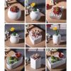 Garden Desk Creative Mini White Ceramic Flower Container Pots Planters-D03