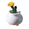 Garden Desk Creative Mini White Ceramic Flower Container Pots Planters-D06