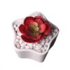 Garden Desk Creative Mini White Ceramic Flower Container Pots Planters-D07