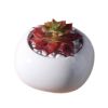 Garden Desk Creative Mini White Ceramic Flower Container Pots Planters-D08