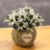 Artificial Flowers Cafe Decoration Table Ornaments-Dragon Begonia-Green