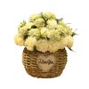 Artificial Flowers Cafe Decoration Table Ornaments-Lucky Flower (Light Green)