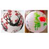 [Plum & Spring] Set of 2 Painted Home Decor--Lampshade, Chinese Lantern